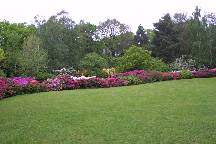 meIMG_4901.jpg