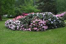 meIMG_4902.jpg