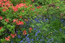 meIMG_4903.jpg
