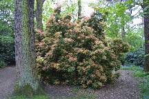 meIMG_4904.jpg