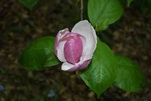 meIMG_4905.jpg