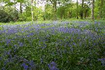 meIMG_4907.jpg