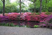 meIMG_4910.jpg