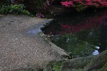 meIMG_4918.jpg