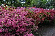 meIMG_4919.jpg