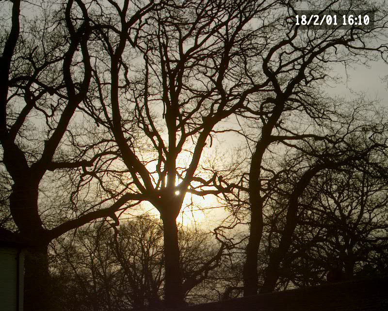 me000354.jpg