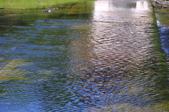 meIMG_1372.jpg