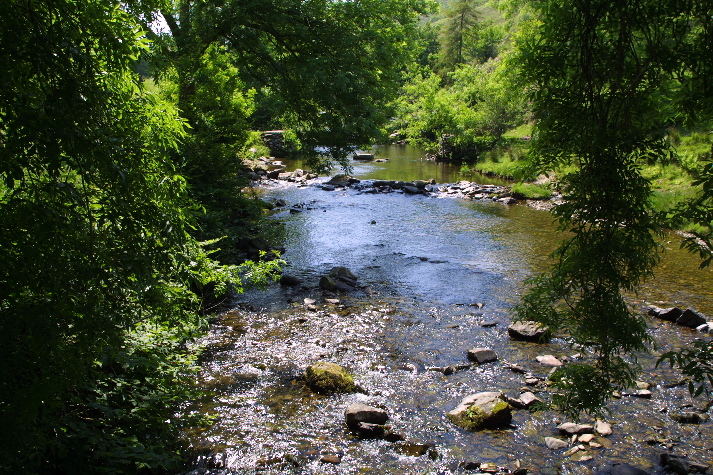 meIMG_1375.jpg