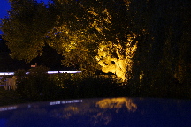 meIMG_1350.jpg