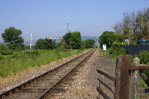 meIMG_1358.jpg