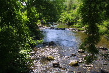 meIMG_1375.jpg
