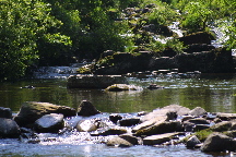 meIMG_1379.jpg