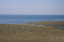 meIMG_1398.jpg