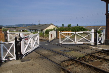 meIMG_1428.jpg