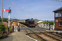 meIMG_1431.jpg
