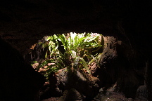 meIMG_1451.jpg