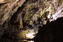 meIMG_1453.jpg