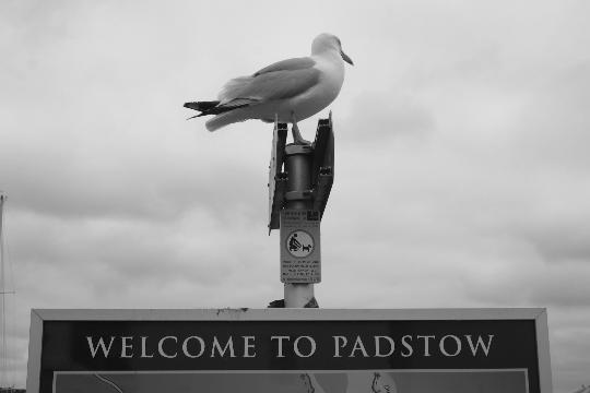 Padstow Weekend, 19th June 2005