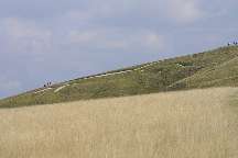 meIMG_2060.jpg
