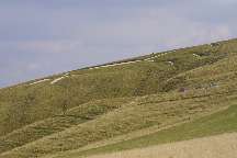 meIMG_2061.jpg