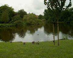 meIM000964.jpg