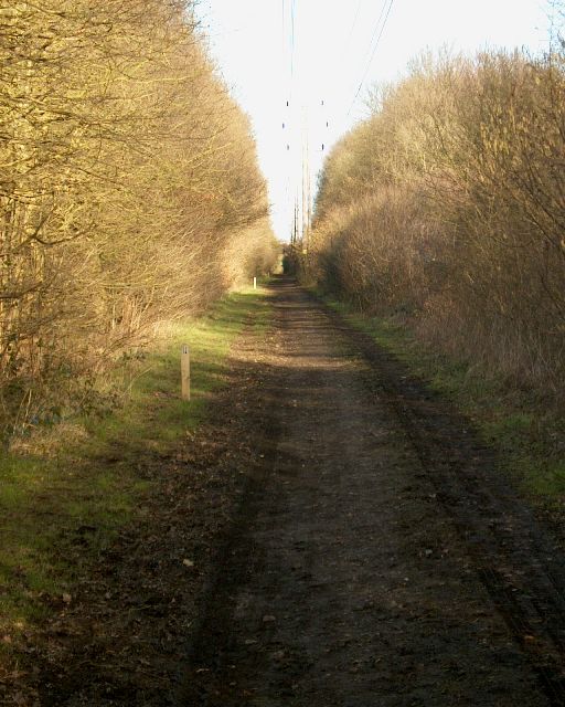 meIM000698.jpg