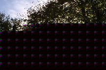 meIMG_9634.jpg