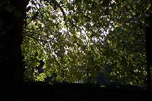 meIMG_9635.jpg