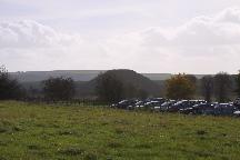 meIMG_9642.jpg