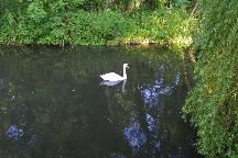 meIMG_3522.jpg