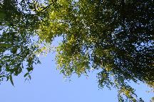 meIMG_3530.jpg