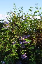 meIMG_3531.jpg