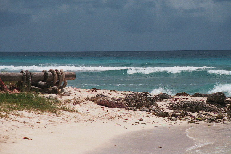 me000028.jpg