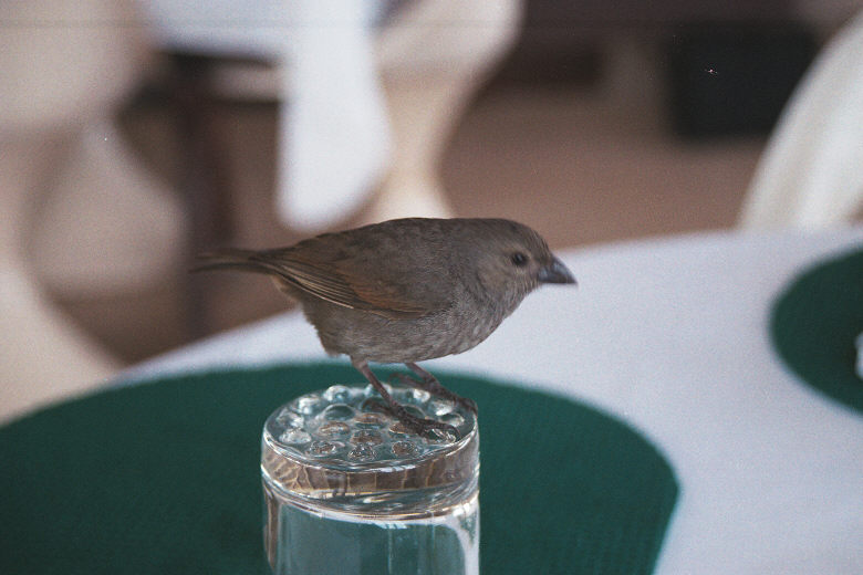 me000127.jpg