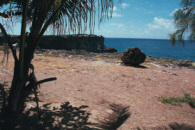 me000104.jpg