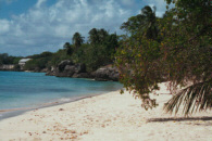 me000108.jpg