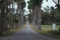 me000120.jpg