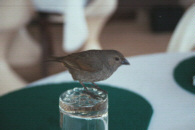 me000127.jpg