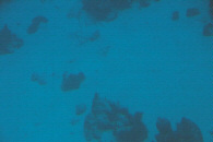me000178.jpg
