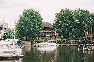 meboo00059.jpg