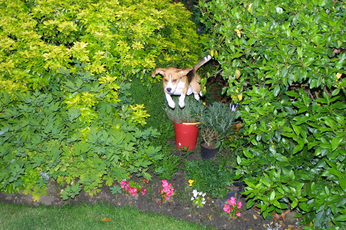 meIMG_1611.jpg