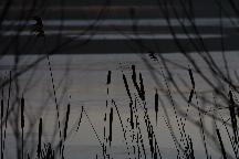 meIMG_0361.jpg