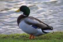 meIMG_0522.jpg