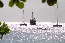 meIMG_0800.jpg