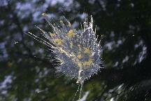meIMG_1266.jpg