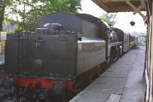 meIMG_1267.jpg