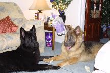 meIMG_0289.jpg