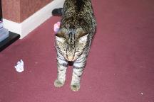 meIMG_0293.jpg