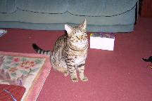 meIMG_0295.jpg