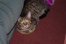 meIMG_0299.jpg
